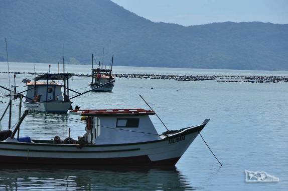 Barcos ancorados em Gancho do Meio, sede do município de Governador Celso Ramos, litoral de Santa Catarina